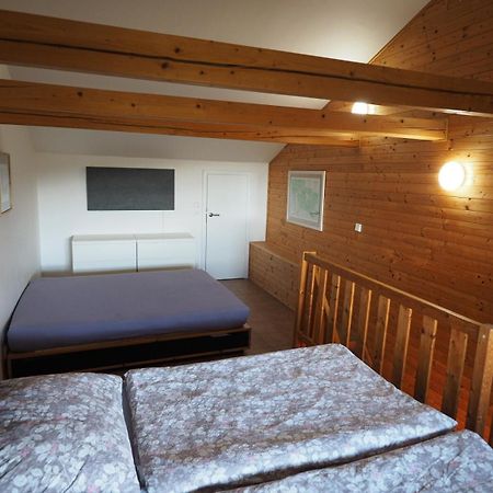 Cihlarka 303 Apartment เปตส์ปอตสเนซโค ภายนอก รูปภาพ